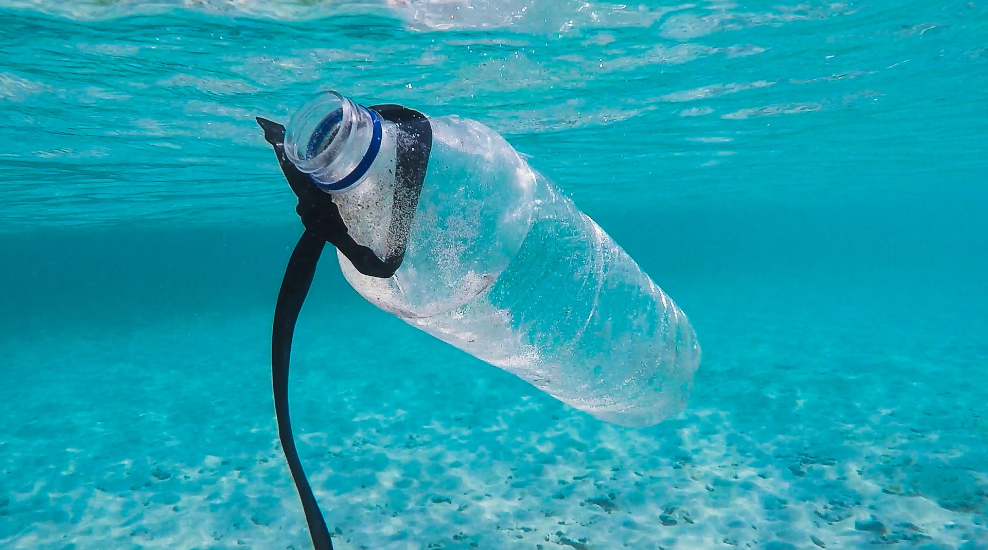 plastic water bottle underwater